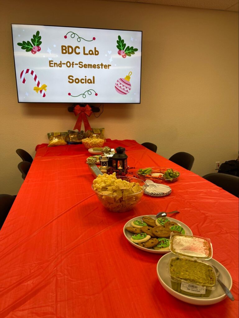 BDC Lab Christmas gathering