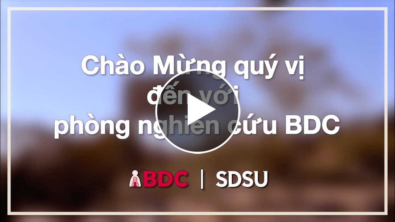 Video Vietnamese